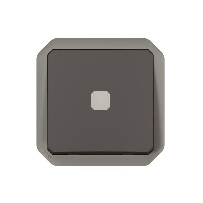 Interrupteur temporisé lumineux Anthracite Plexo