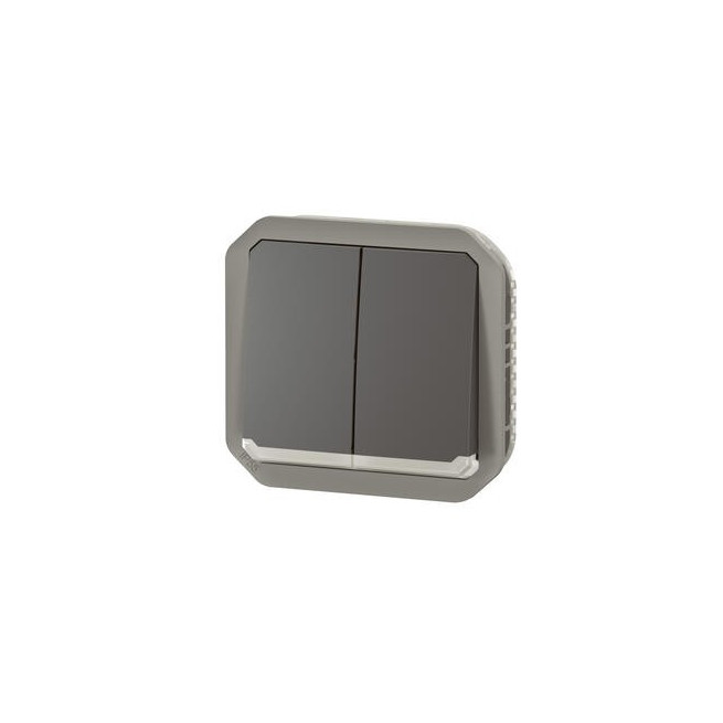 Double interrupteur lumineux Anthracite Plexo
