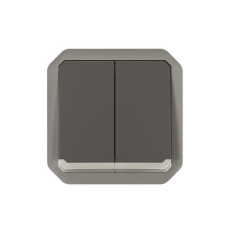 Double interrupteur lumineux Anthracite Plexo