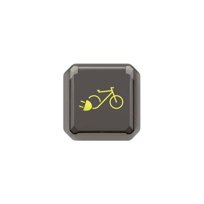 Prise 2P+T recharge vélo Anthracite Plexo