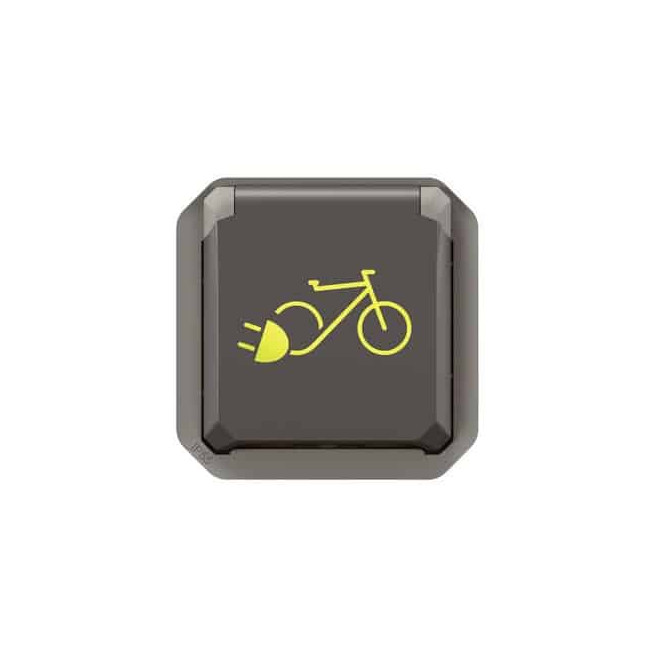 Prise 2P+T recharge vélo Anthracite Plexo