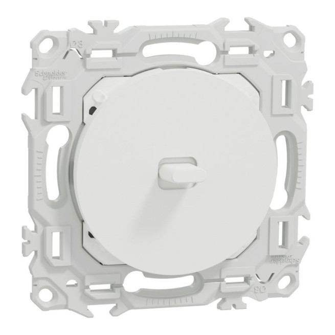 Va-et-vient ou poussoir Odace 10 AX – Schneider Electric