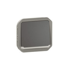 Poussoir NO-NF lumineux Anthracite Plexo