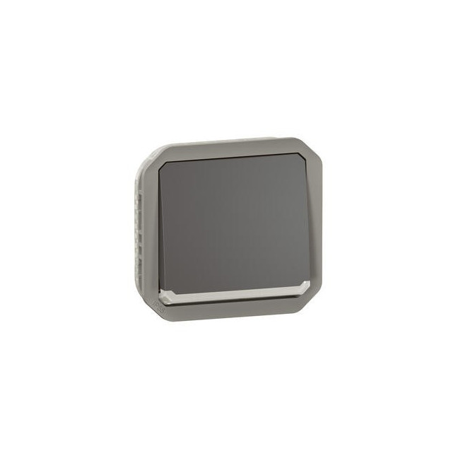 Interrupteur bipolaire Anthracite Plexo