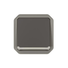 Interrupteur bipolaire Anthracite Plexo